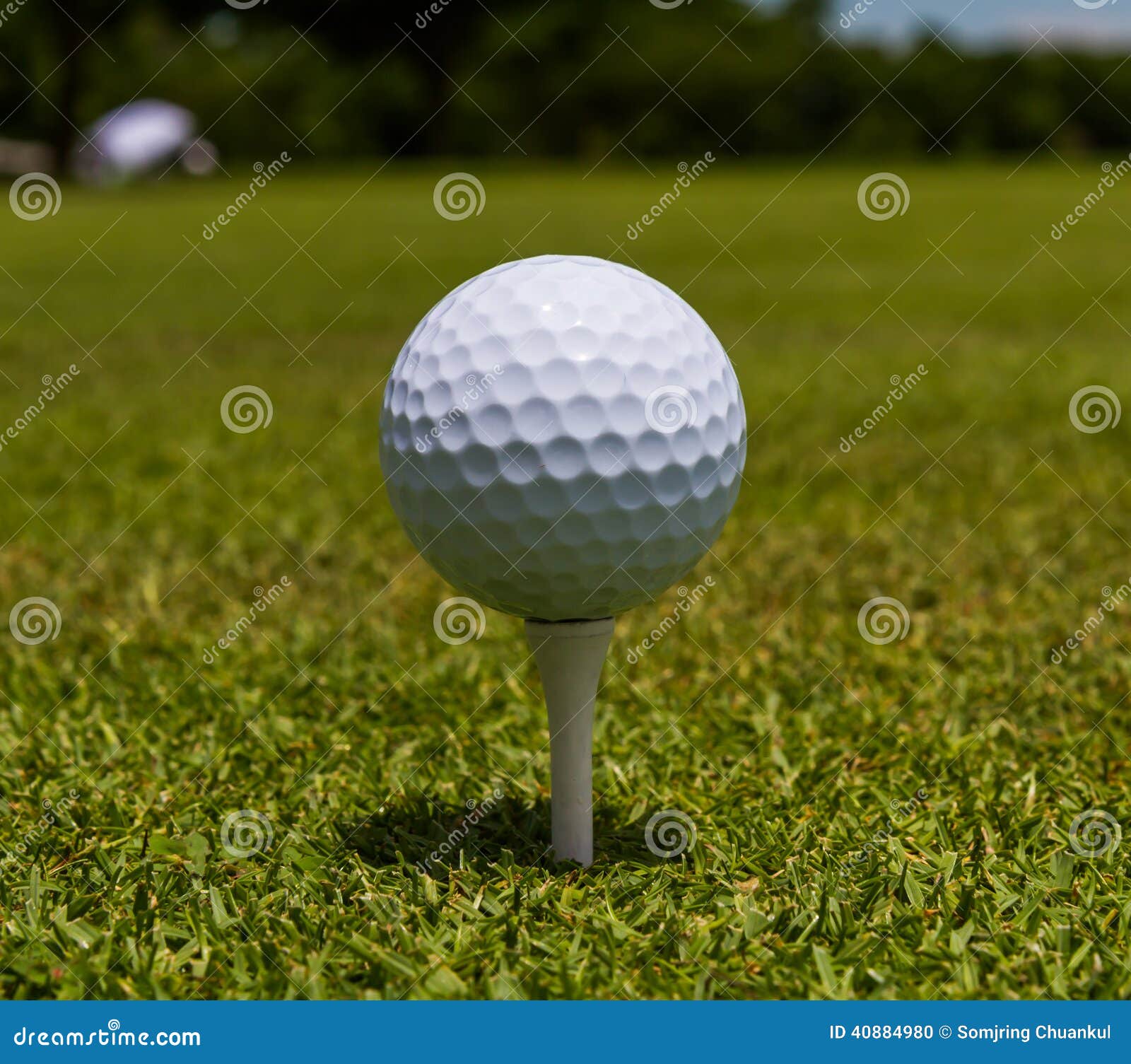 Pièce En T De Support De Balle De Golf Photo stock - Image du