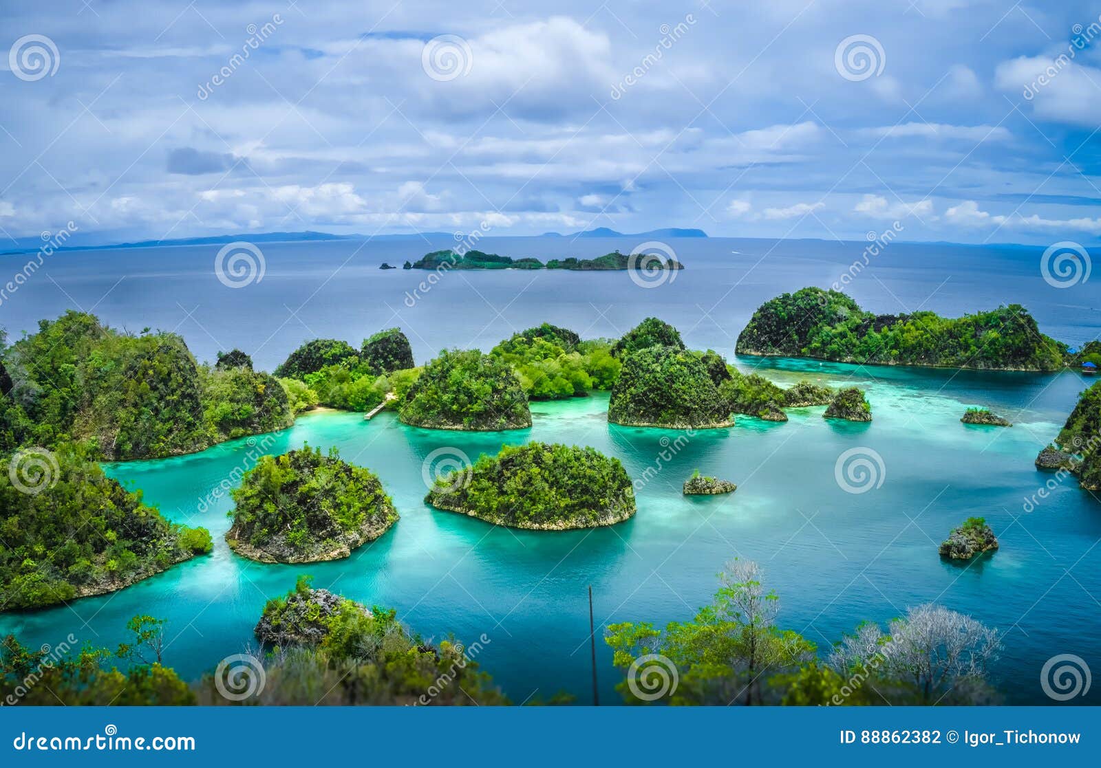 Pianemo Islands, Blue Lagoon With Green Karst Limestone Rocks, Raja