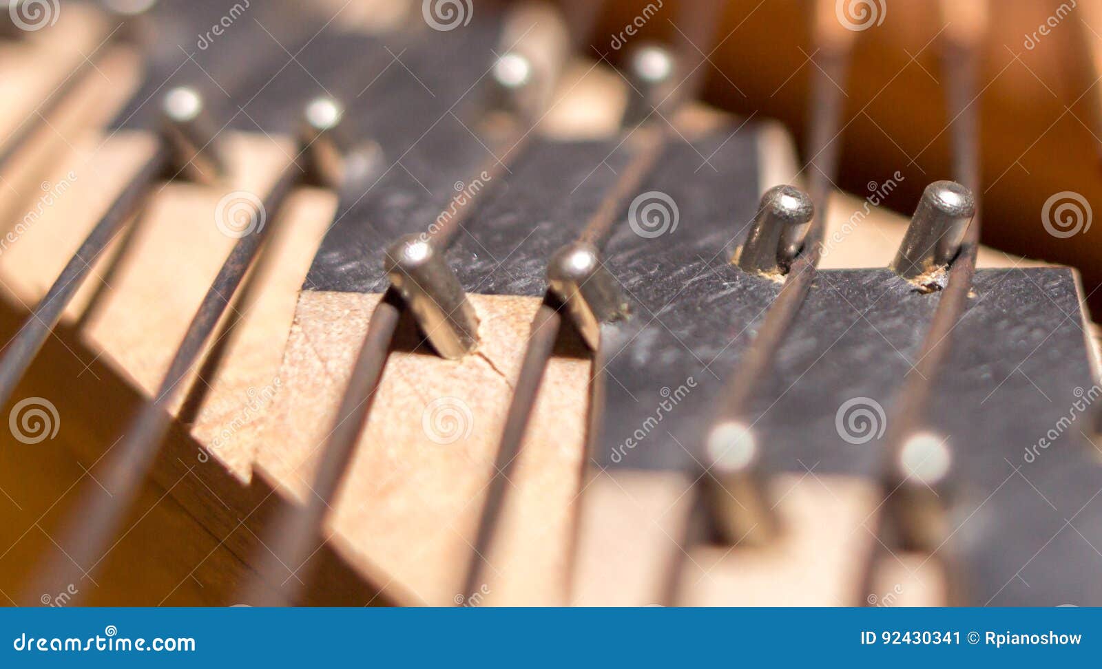 Piano Bridge and Strings Closeup. Stock Image Image of focus, music