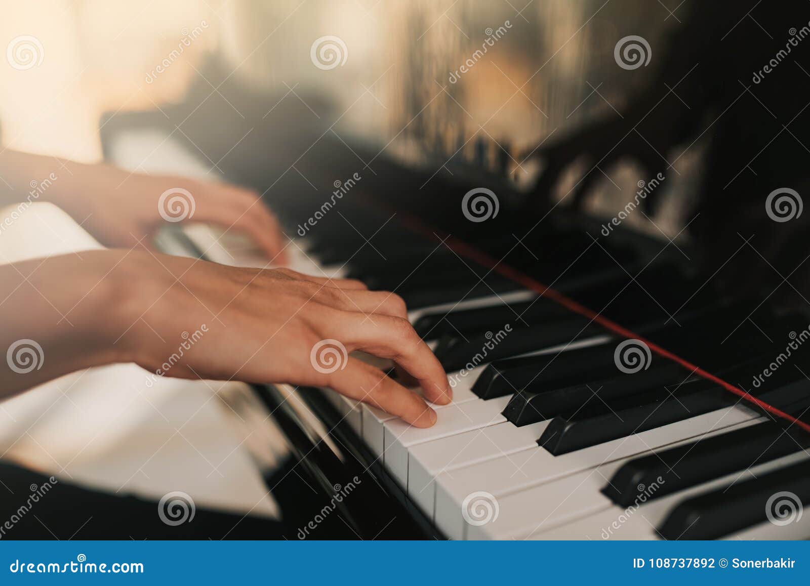 piano music pianist hands playing. musical instrument grand piano details with performer hand on white background
