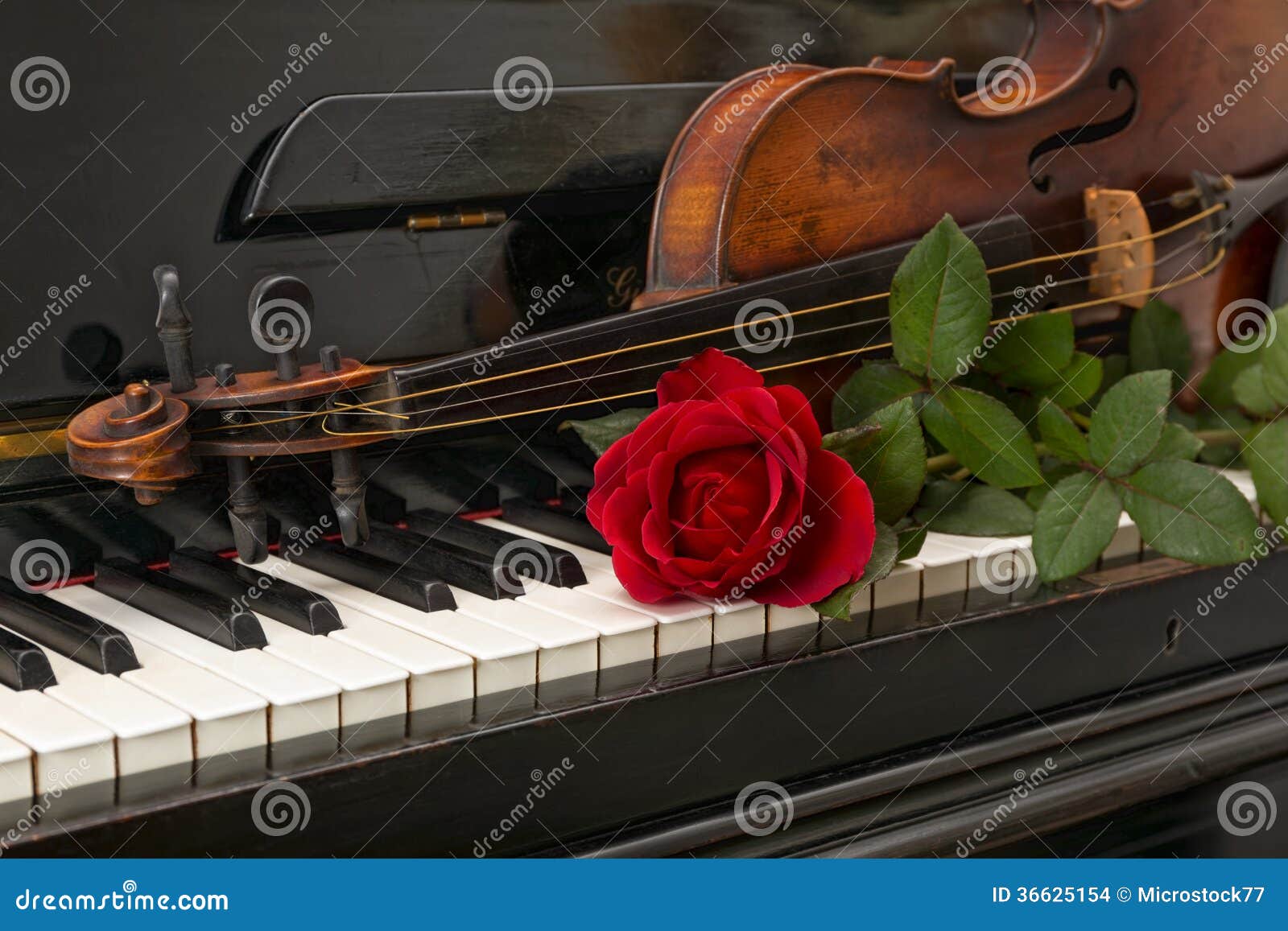 piano red rose violin