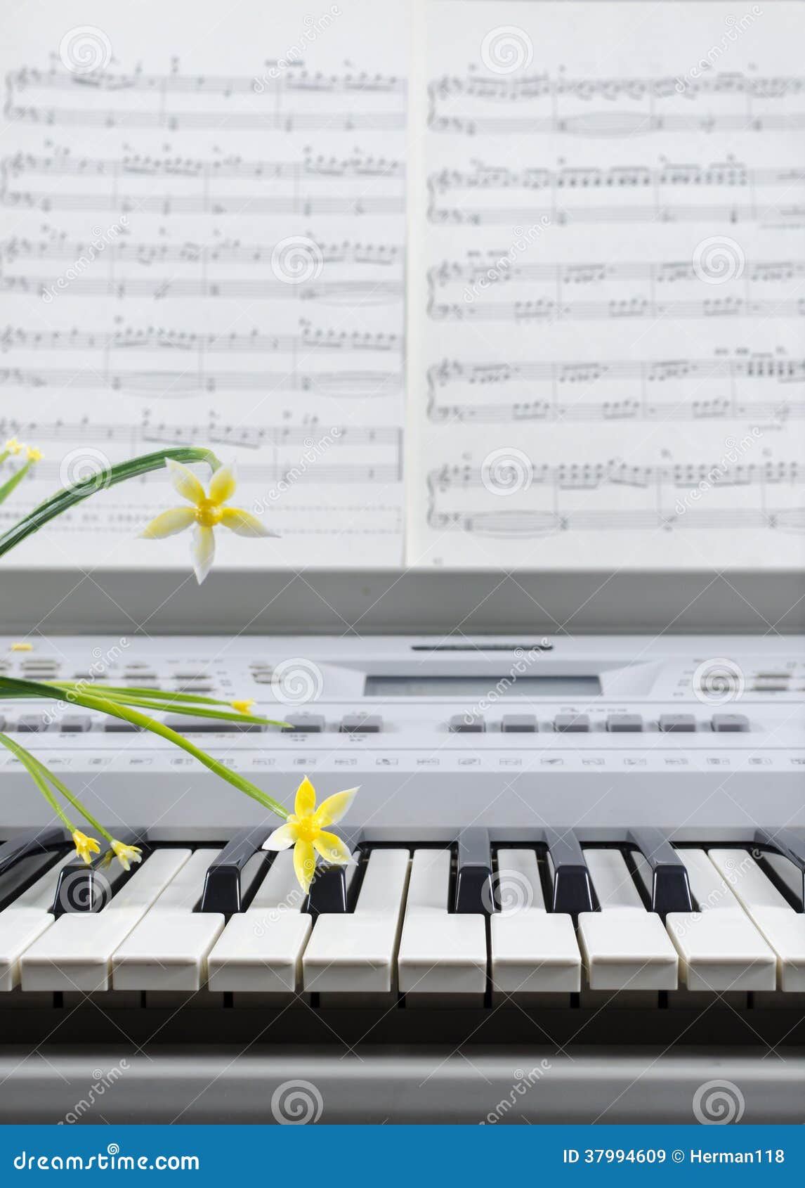 Piano sheet music flowers stock image. Image of popular 37994609