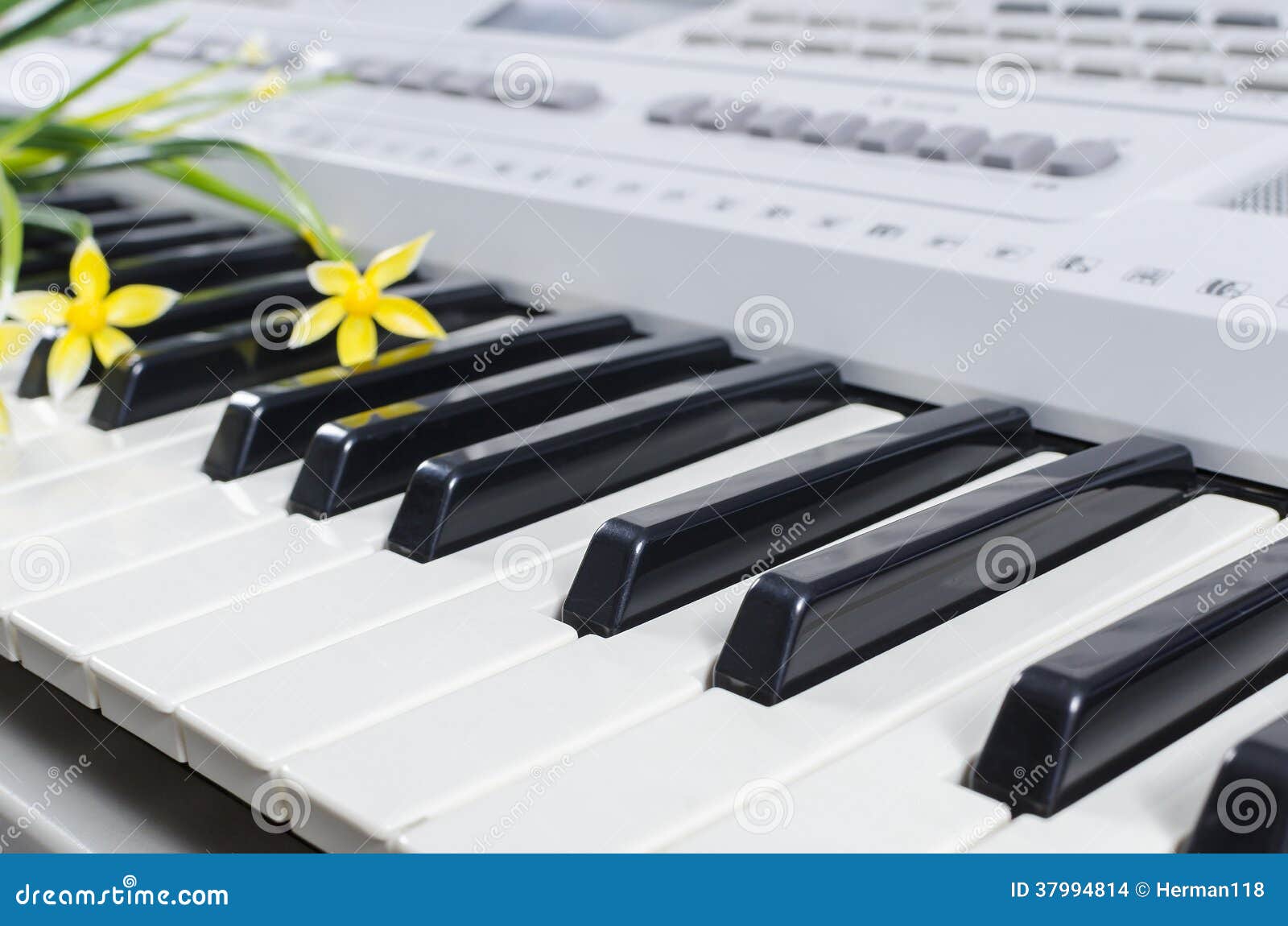 Piano sheet music flowers stock photo. Image of blue - 37994814