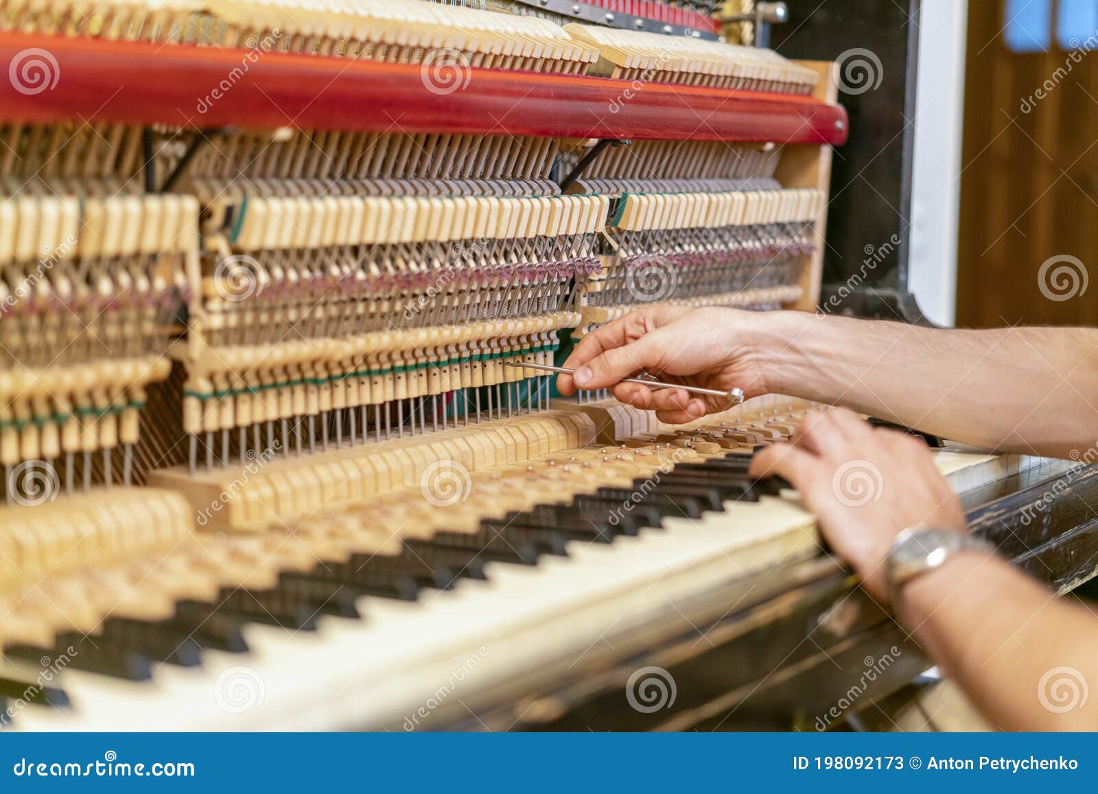 piano tuning process. closeup of hand and tools of tuner working on grand piano. detailed view of upright piano during a tuning.
