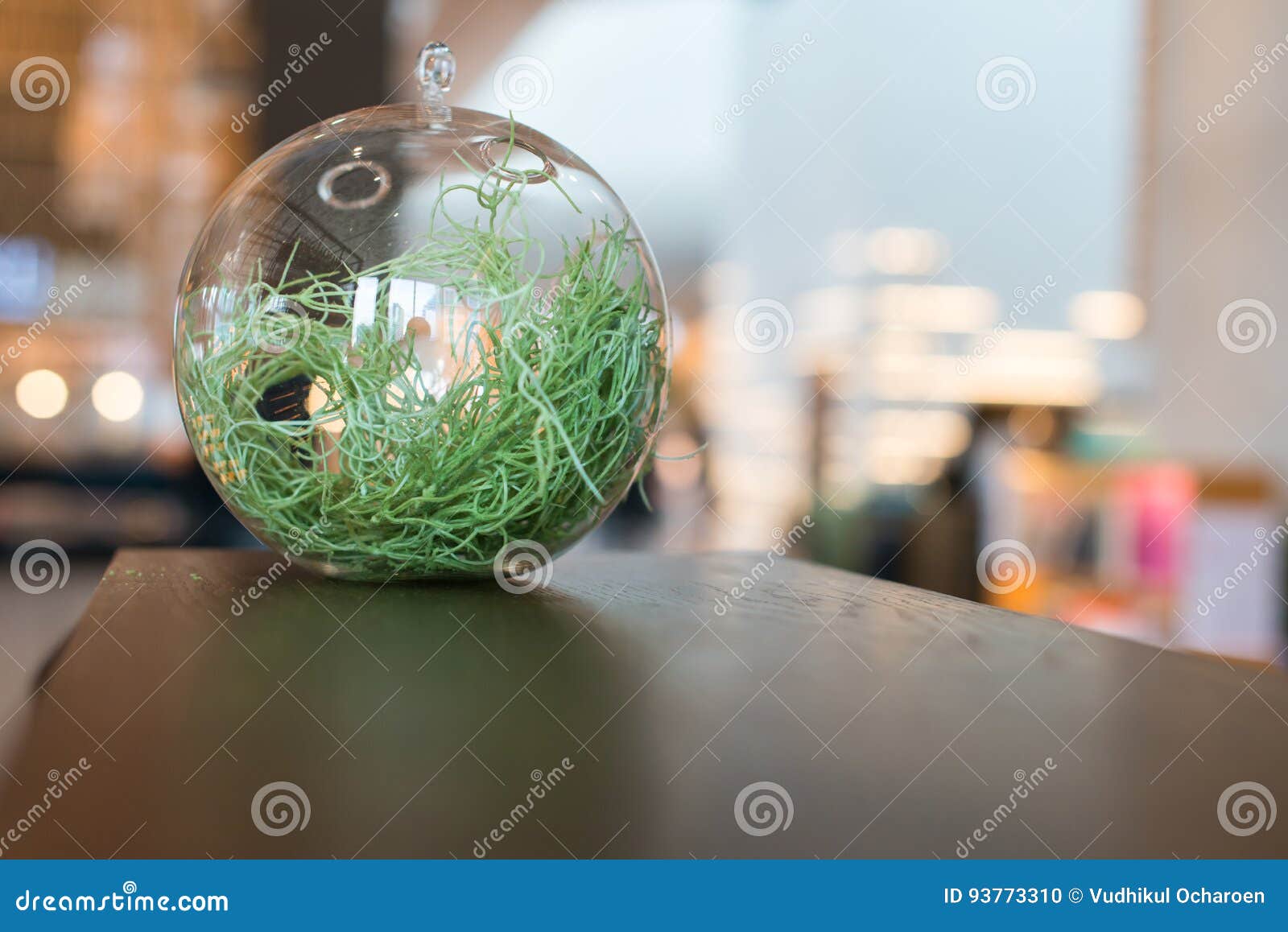 Portacandele Sospesi In Vetro - 24 Pezzi Globo 8cm | Per Terrari E Decorazioni - Foto 4