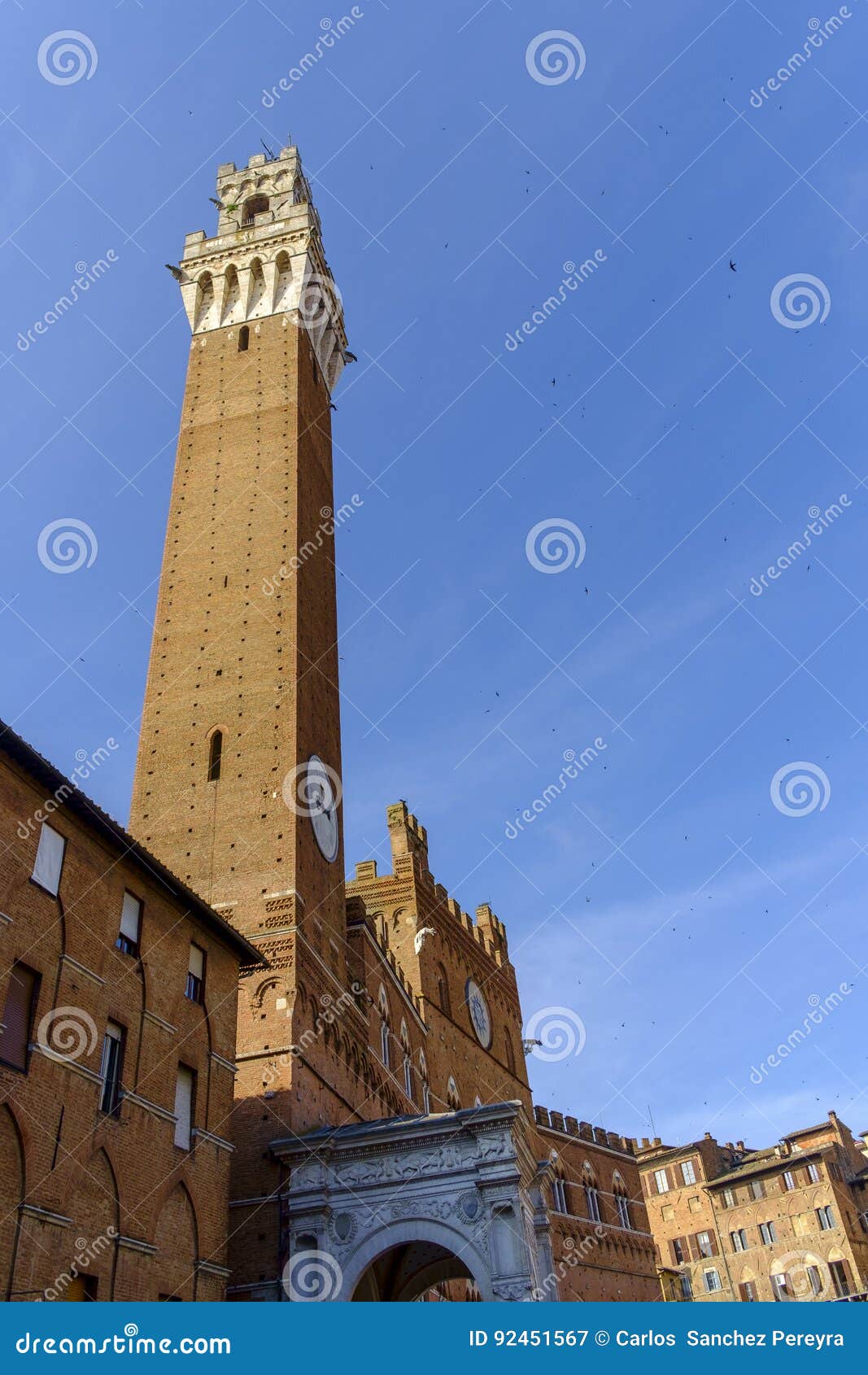 piazza del campo is the main square of siena with view on palazzo pubblico