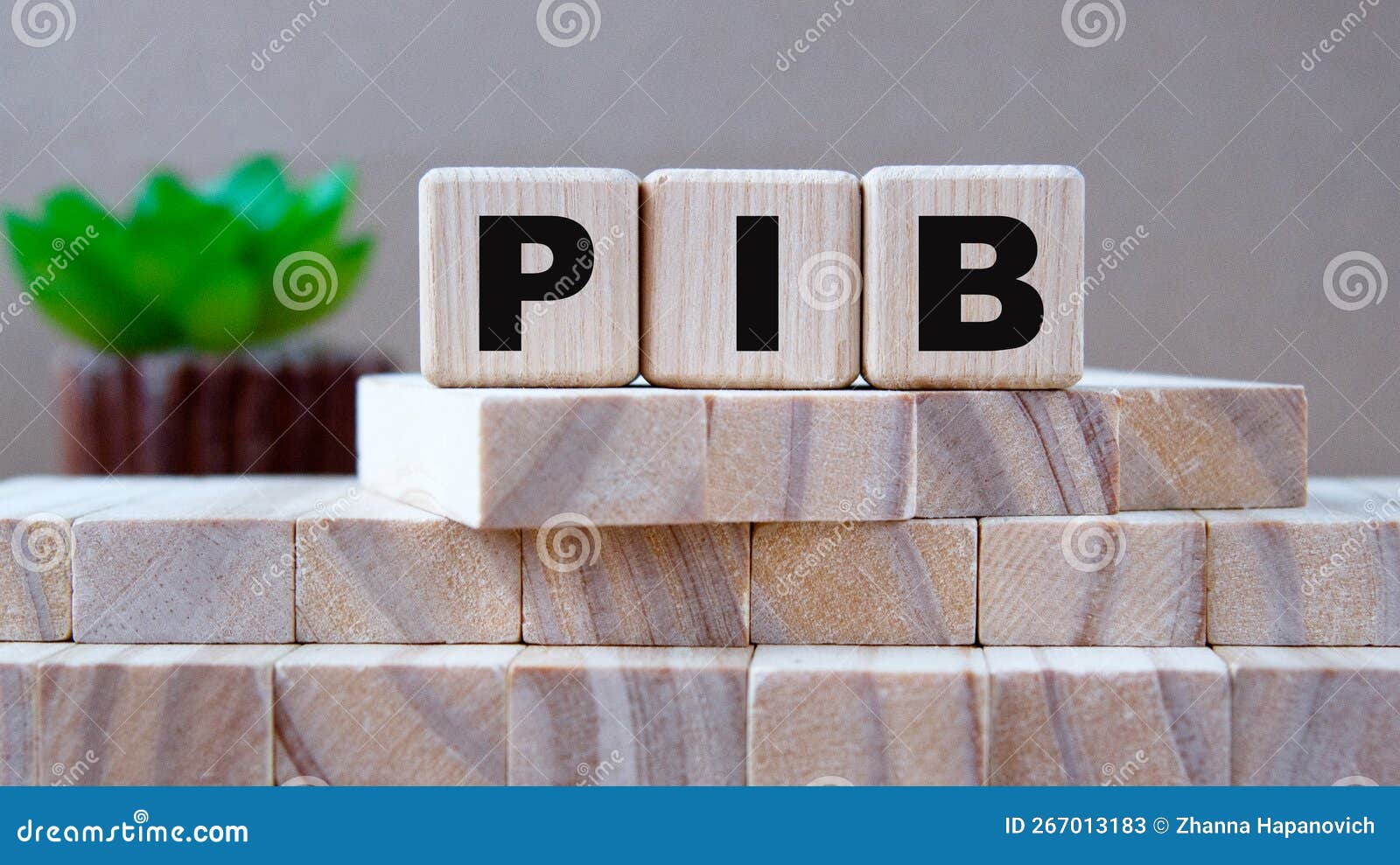 pib - acronym on wooden cubes on the background of wooden blocks and cactus