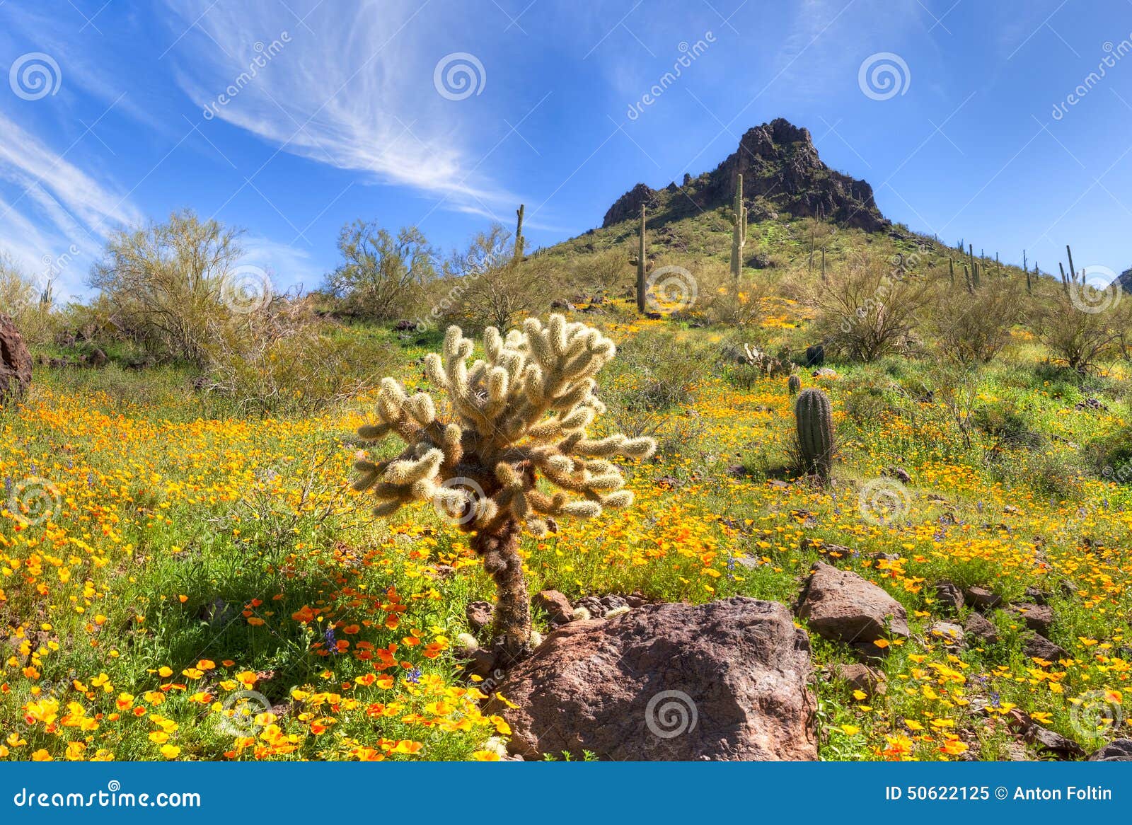 Picacho Peak State Park stock image. Image of park, mexican - 50622125