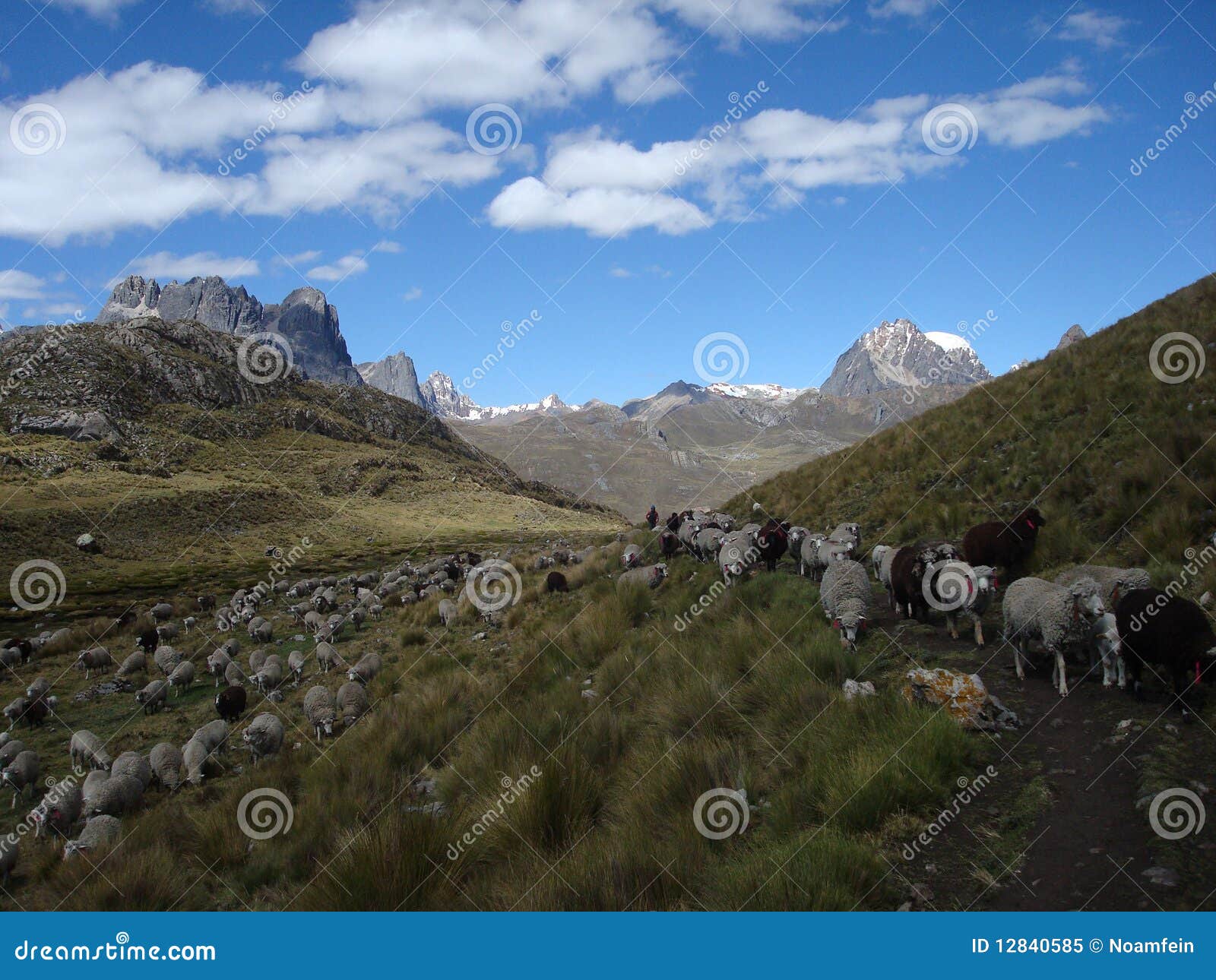 Picchi e montagne della neve nel Perù