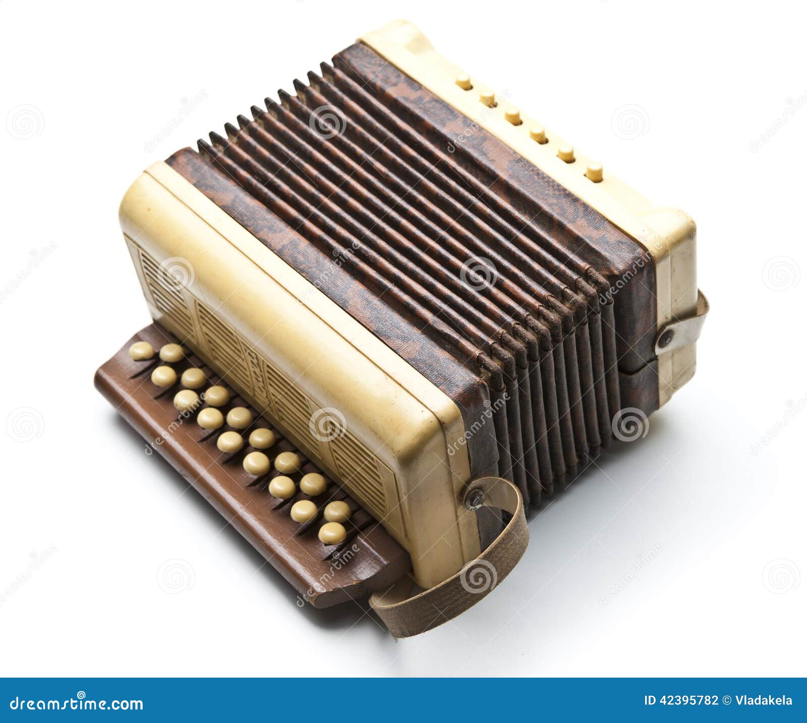 Piccola fisarmonica fotografia stock. Immagine di immagine 42395782