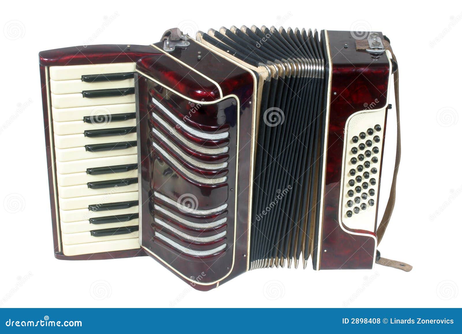 Piccola Fisarmonica Dell'allievo Fotografia Stock Immagine di isolato