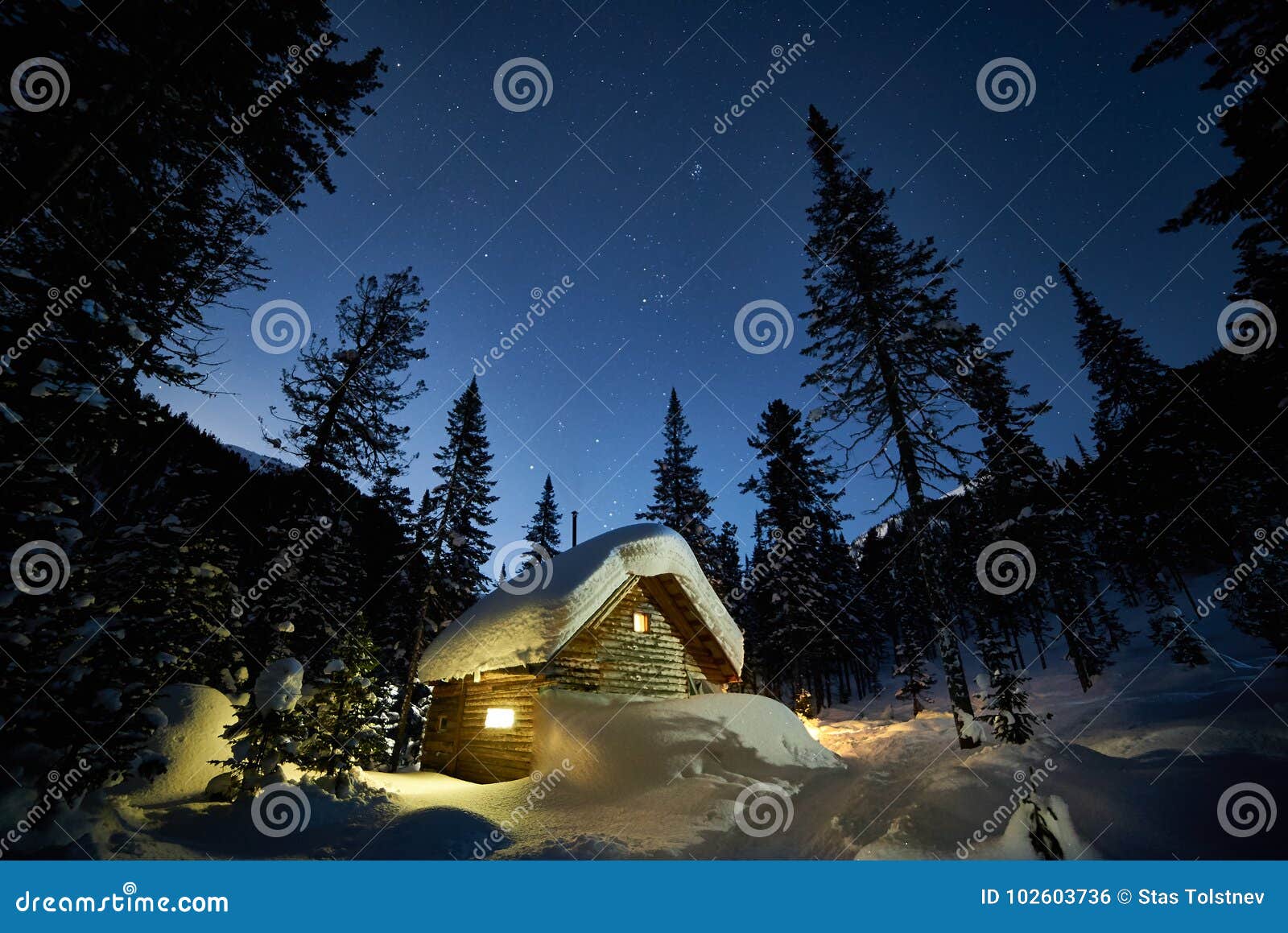 Piccolo Cottage In Una Bella Foresta Della Neve Alla Notte Della Luna Fotografia Stock Immagine Di Esterno Sera