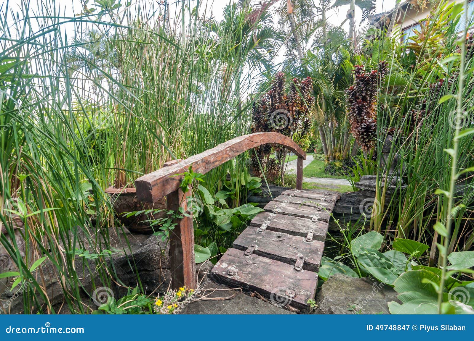 Piccolo ponte di legno immagine stock. Immagine di rivoli 49748847