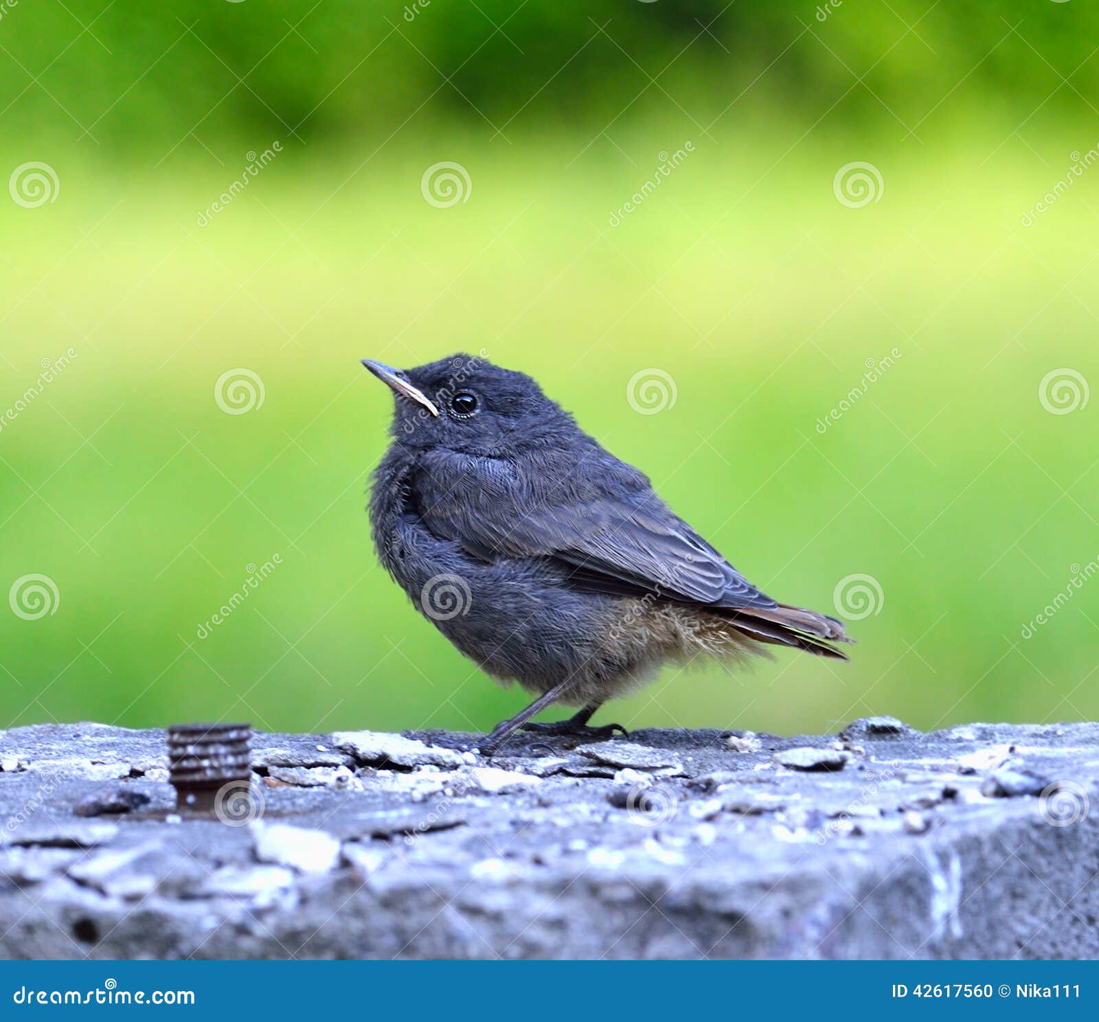Mestolo Per Spaghetti In Acciaio Inox - Cucchiaio Da 30.8cm Con Manico Ergonomico, Lavabile In Lavastoviglie - Foto 6