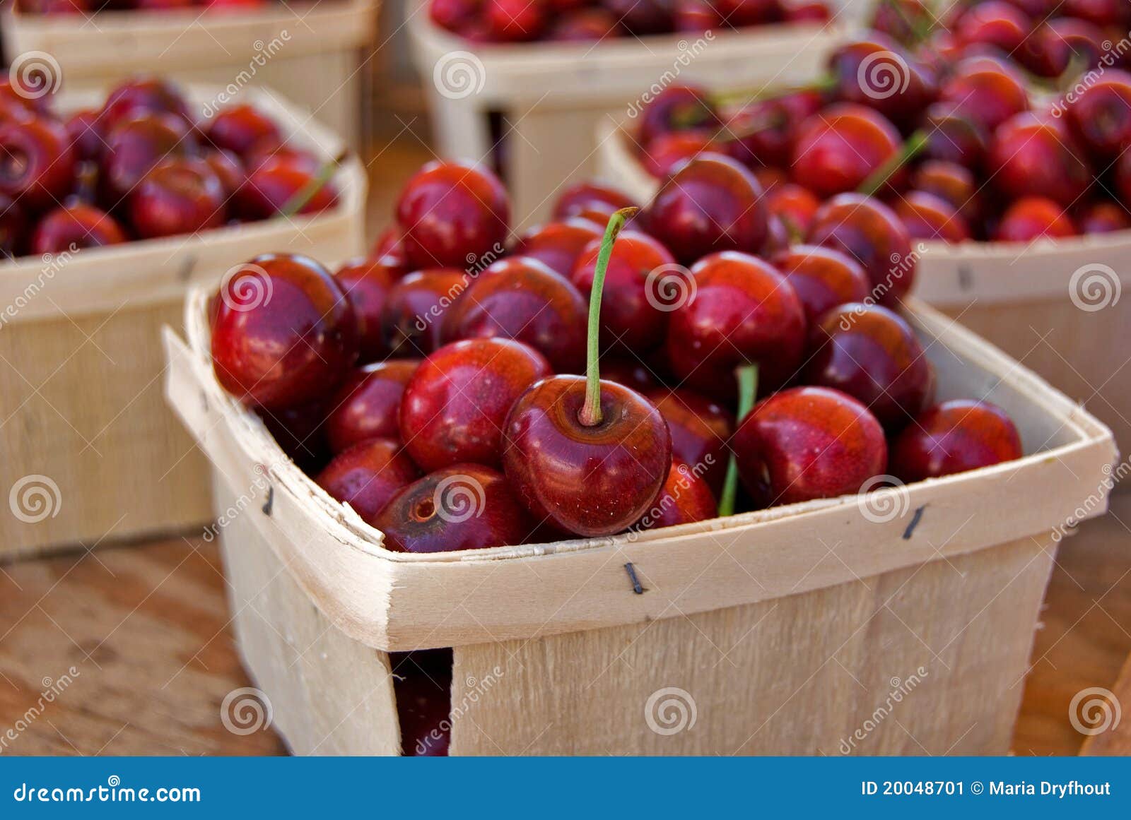 Ripe Red Michigan Cherries in Wood Box Stock Image Image of market