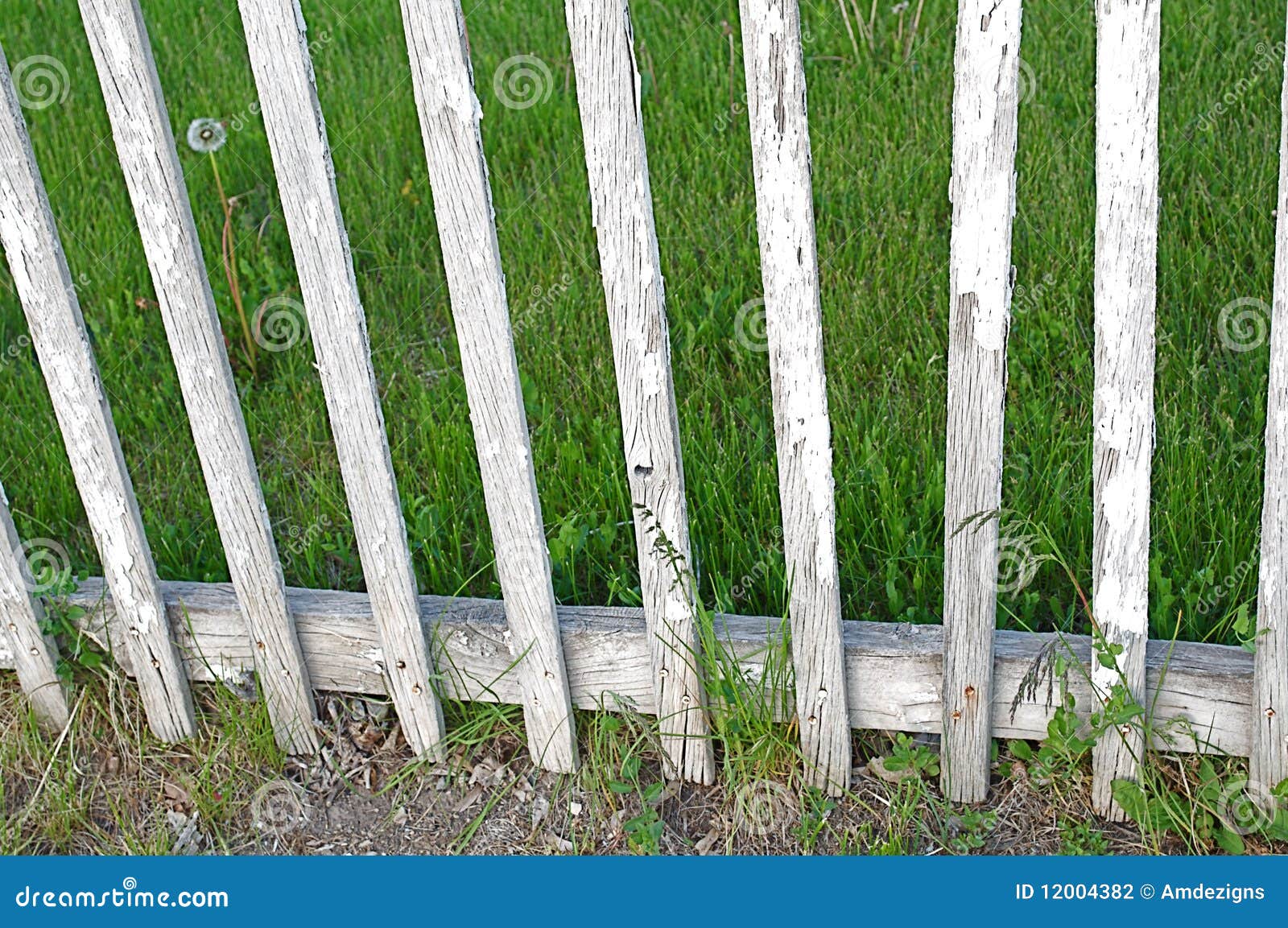 Picket fence stock photo. Image of grass, rustic, life 12004382