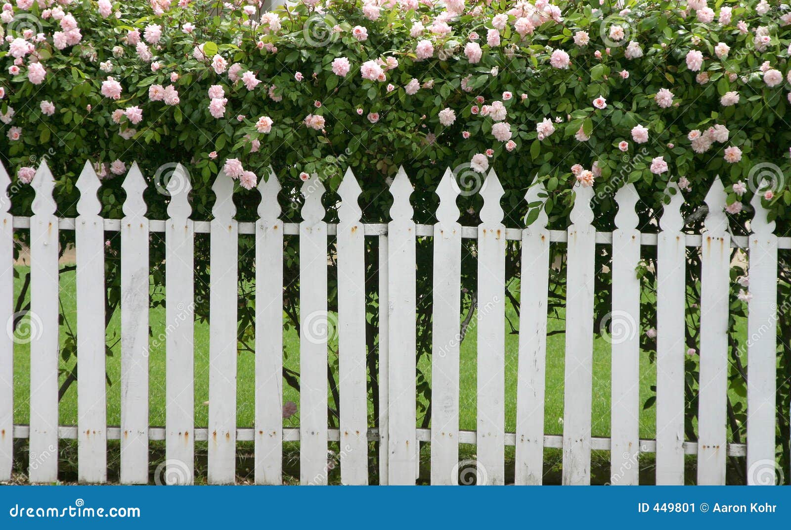 Picket Fence stock image. Image of side, lawn, antique 449801