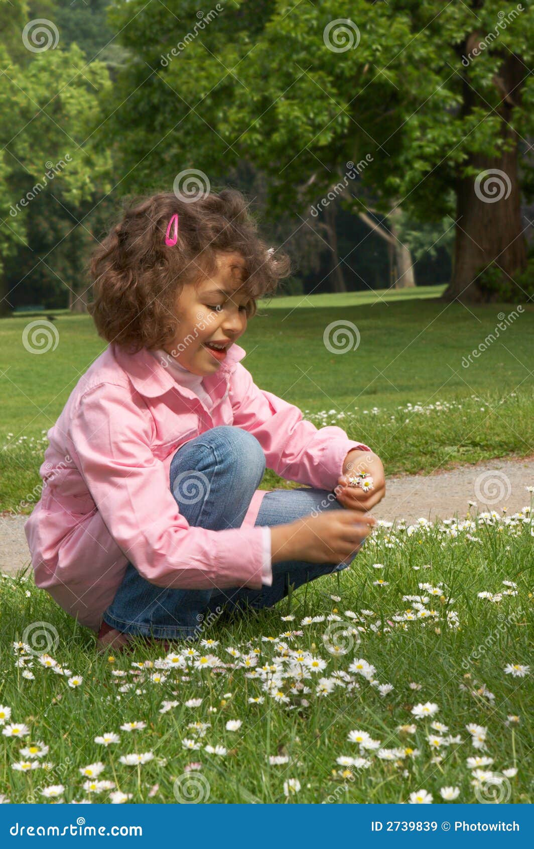 Picking daisies stock image. Image of picking, flowers 2739839
