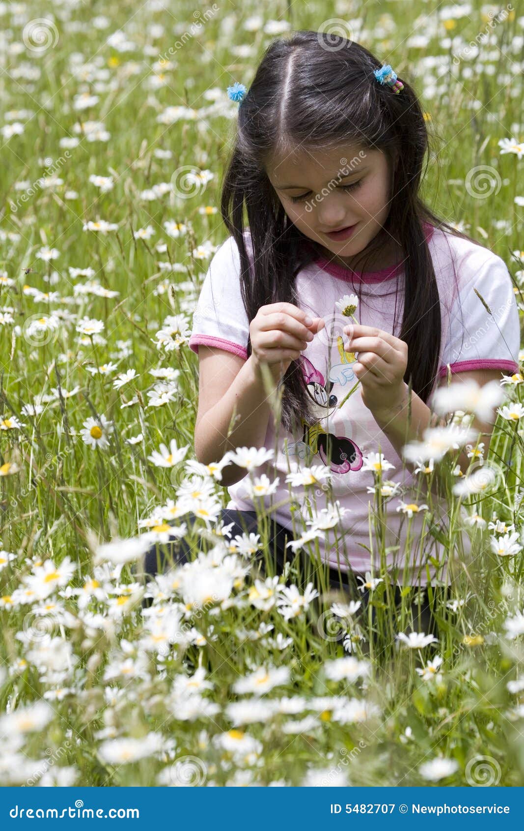Picking Daisies stock image. Image of dainty, innocence 5482707