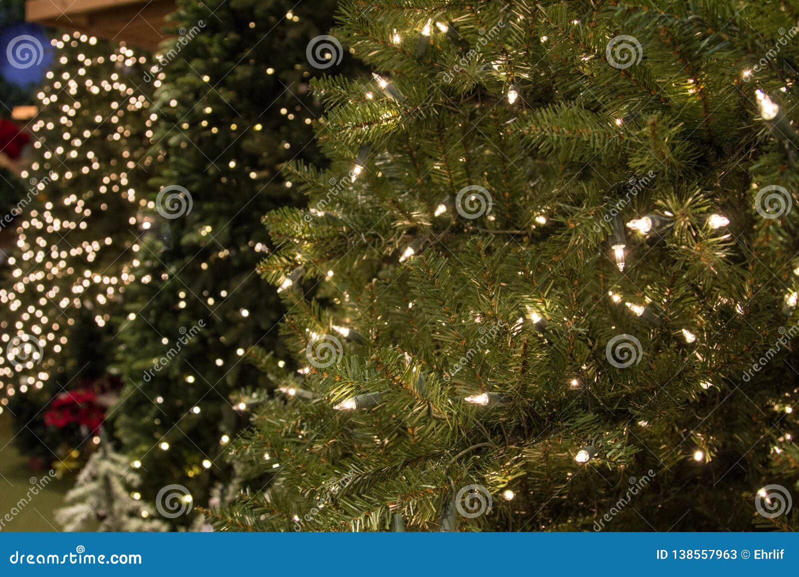 Picking Out the Perfect Artificial Christmas Tree Stock Image Image
