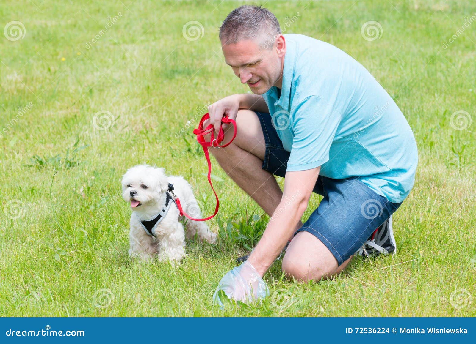 picking-up-dog-poop-owner-cleaning-plastic-bag-72536224.jpg