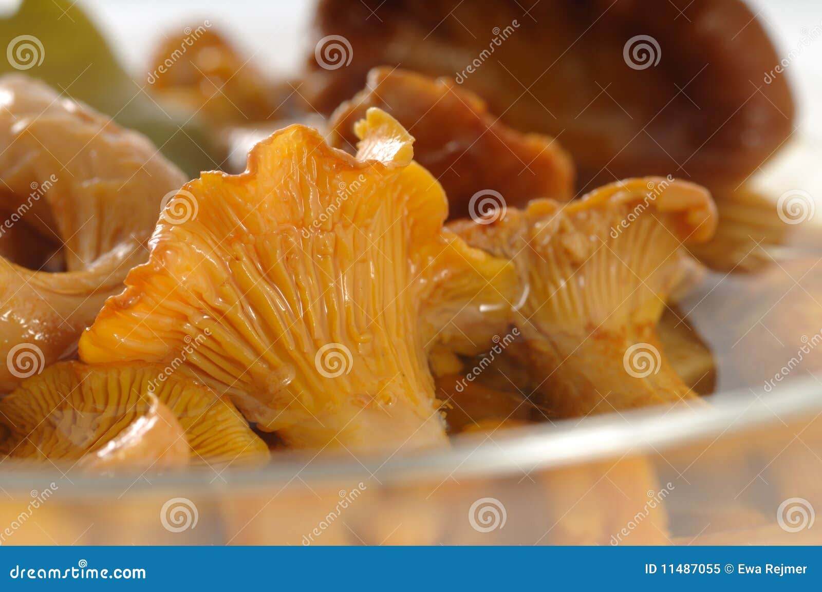 Pickled Chanterelle stock image. Image of background 11487055