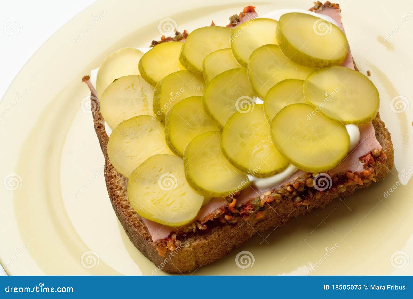 Pickled cucumber sandwich. Open sandwich with brown bread, brown bread, pickled cucumber slices and mayonnaise.