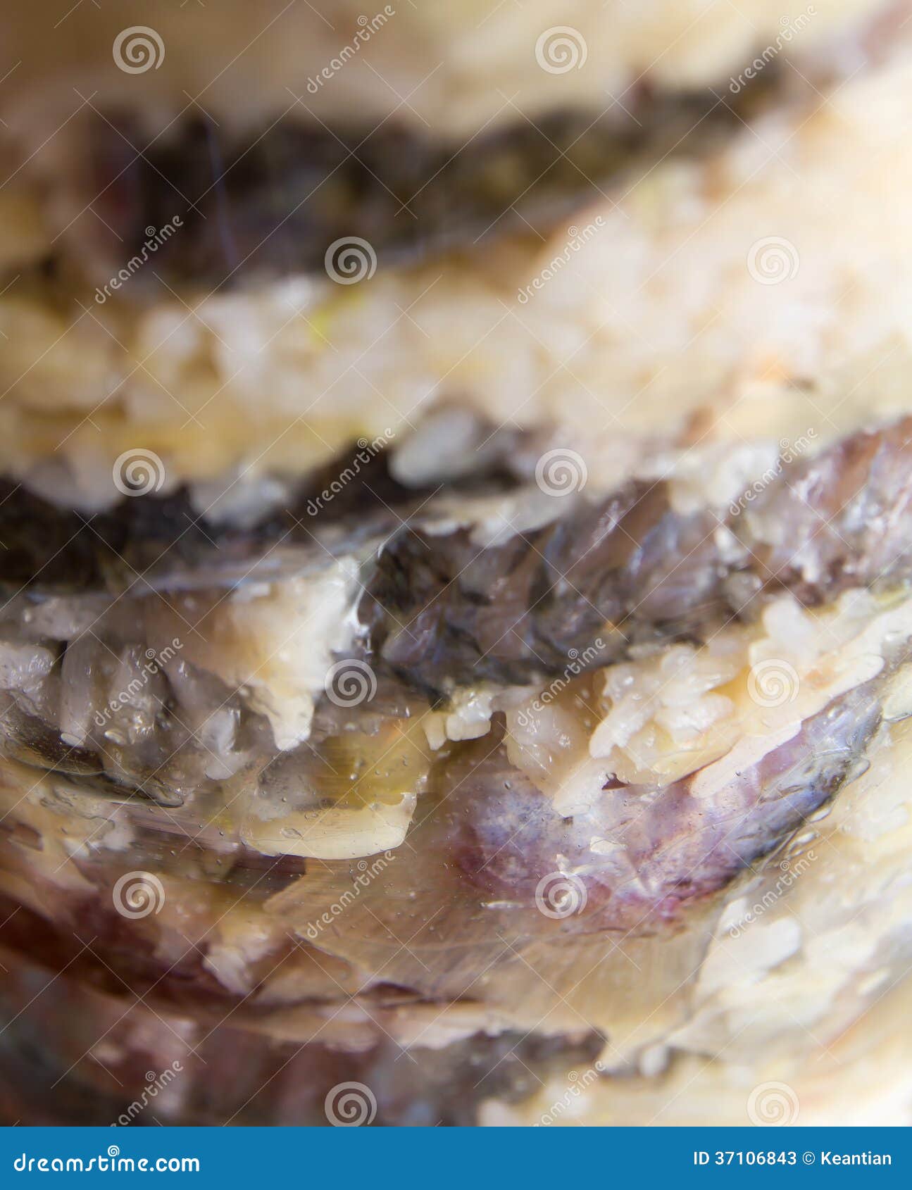 Pickled fish stock image. Image of layer, cooking, healthy 37106843