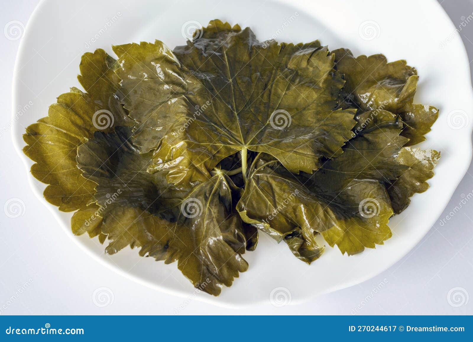 Pickled Grape Leaves on a White Plate Stock Image Image of