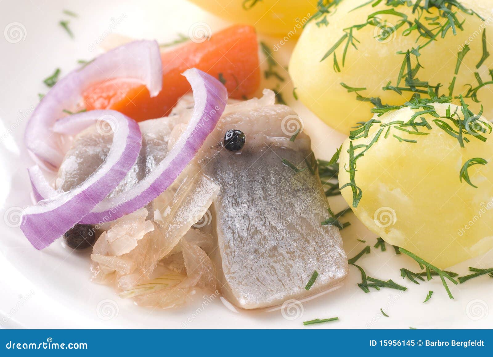 Pickled Herring In A Glass Jar RoyaltyFree Stock Photo CartoonDealer