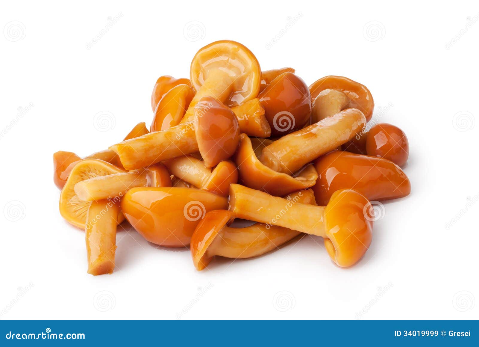 Pickled Mushrooms (Honey Fungi) RoyaltyFree Stock Photography