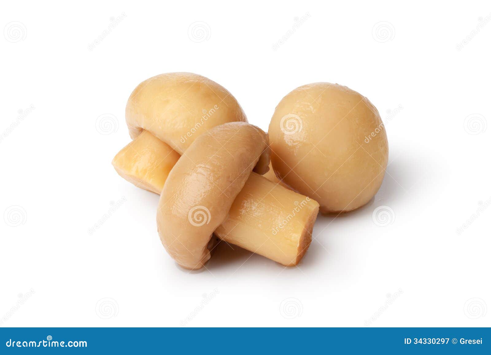 Pickled Mushrooms (Honey Fungi) RoyaltyFree Stock Photography