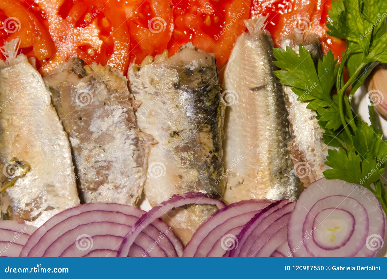 Pickled Sardines with Tomatoes and Onions Stock Photo Image of