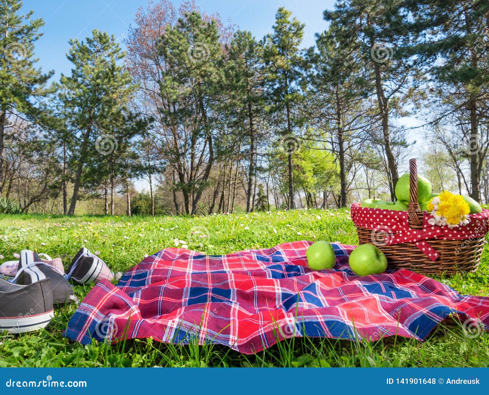 A Picnic Background With Basket And Blanket Outdoors Stock Photo - Image of outdoors, green ...