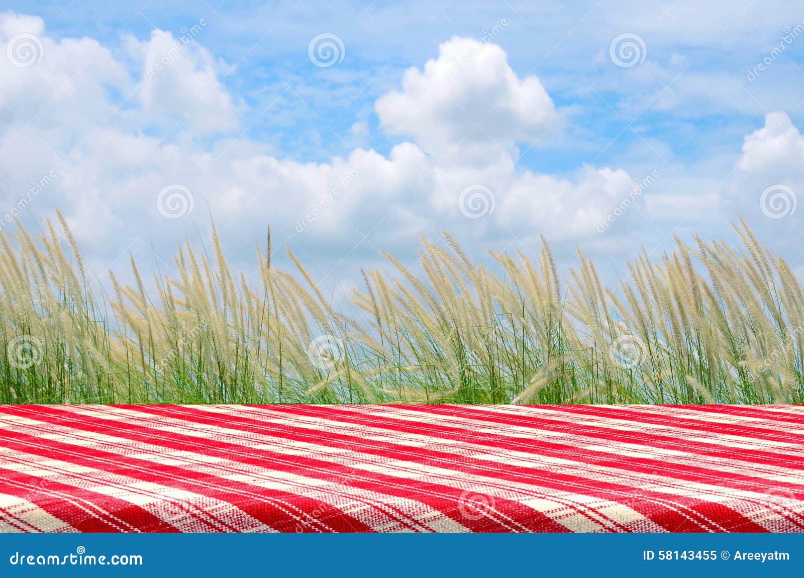 Picnic Background With Picnic Table. Stock Image - Image ...