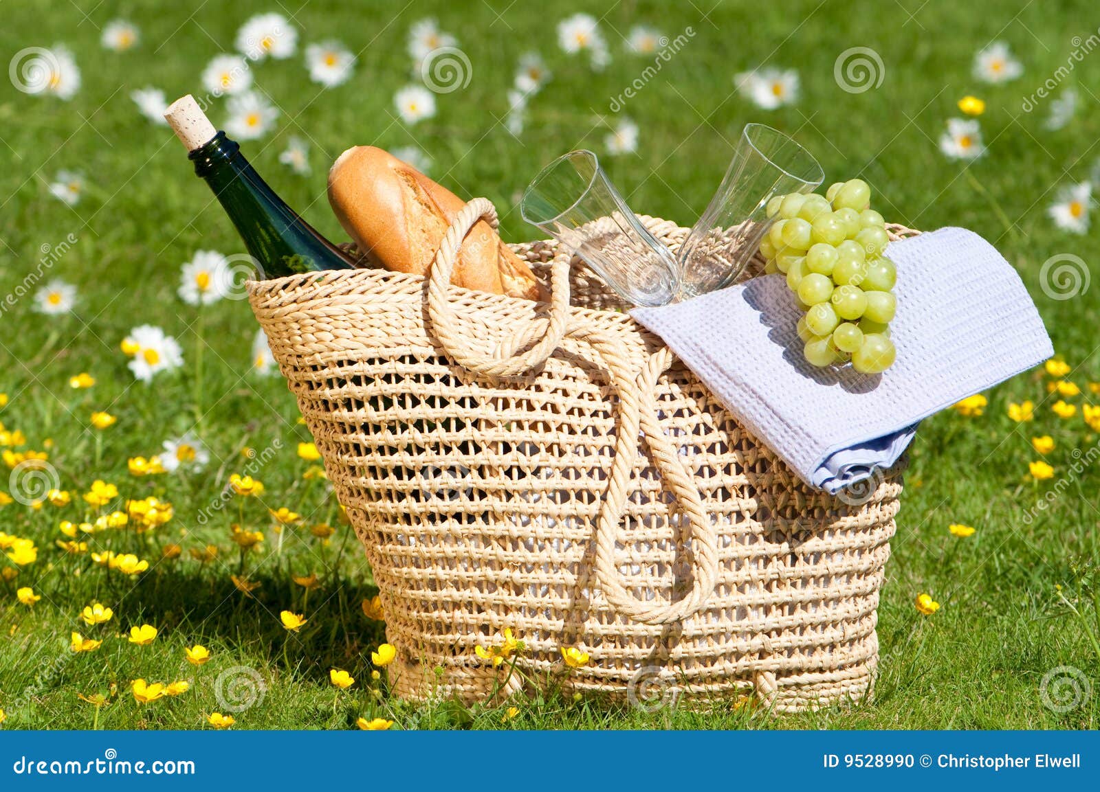 Picnic Basket stock photo. Image of bottle, lunch, nature 9528990