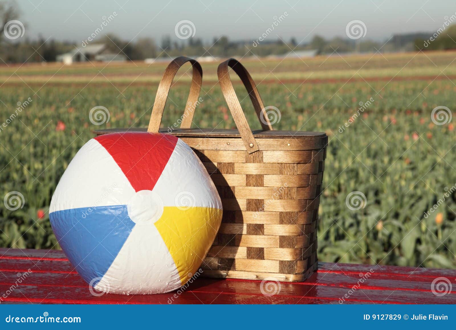 Picnic Basket, Beach Ball in Meadow Stock Image Image of rural