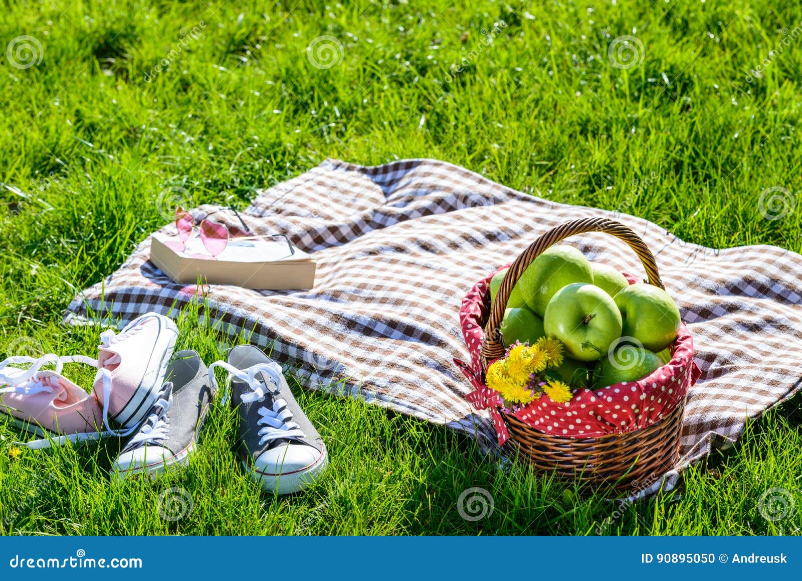 Picnic Basket And Blanket Stock Photo Image Of Park 90895050