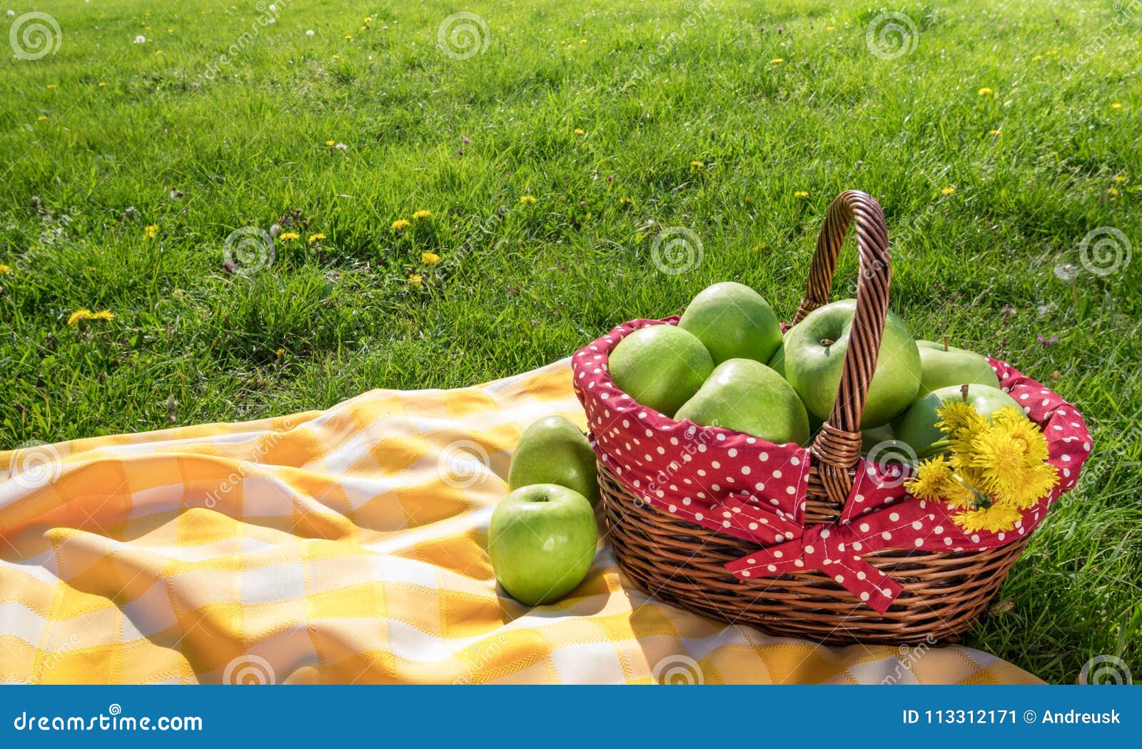 Picnic basket and blanket stock image. Image of summer 113312171