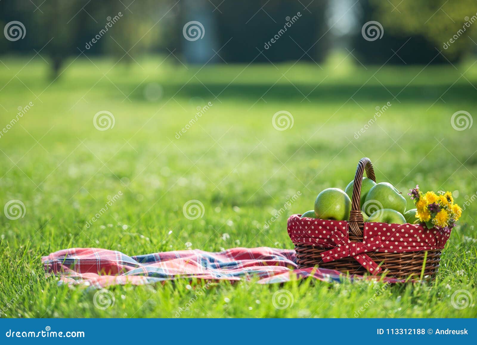 Picnic basket and blanket stock photo. Image of picnic 113312188