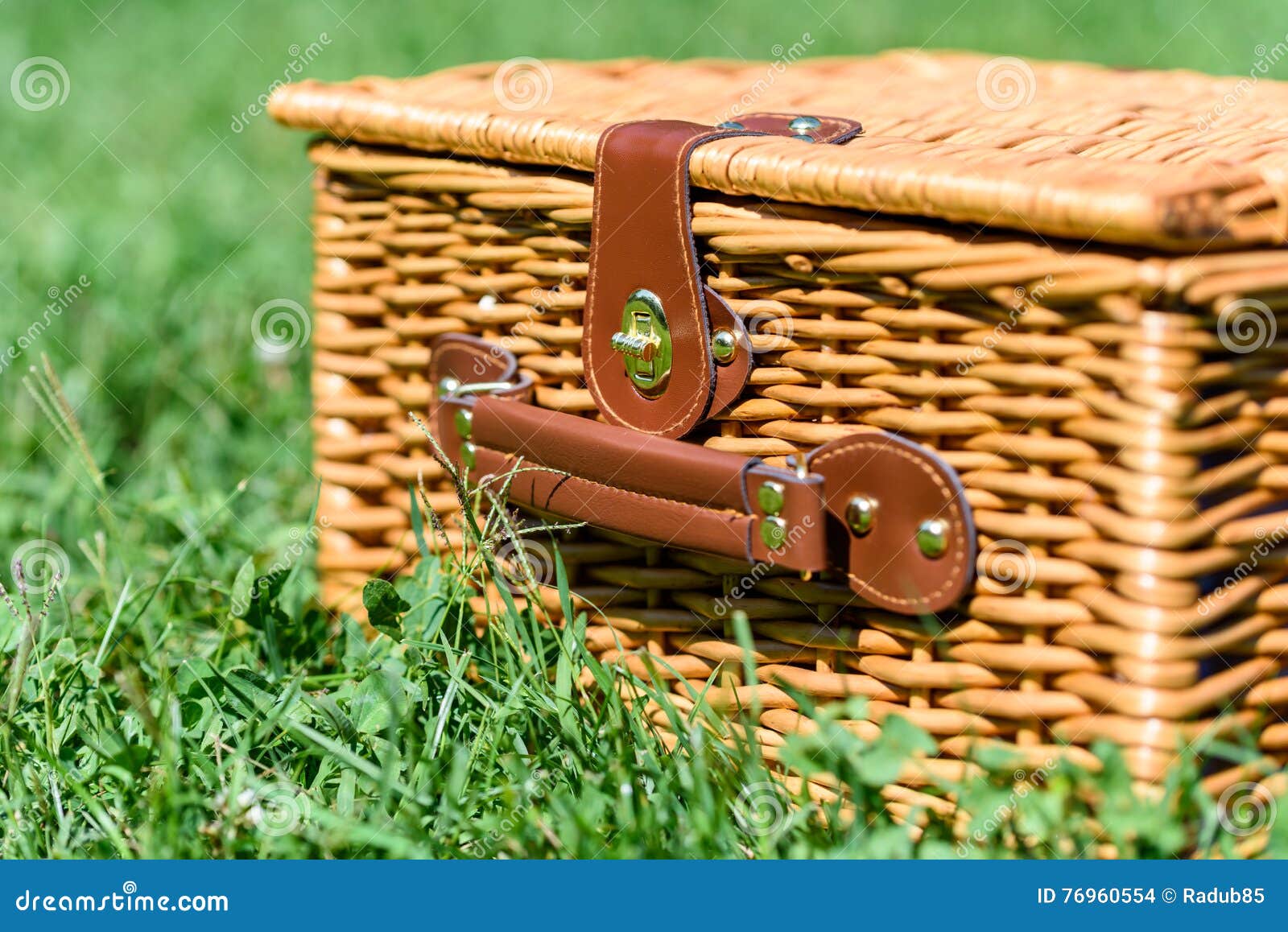Picnic Basket Hamper with Leather Handle in Grass Stock Photo Image