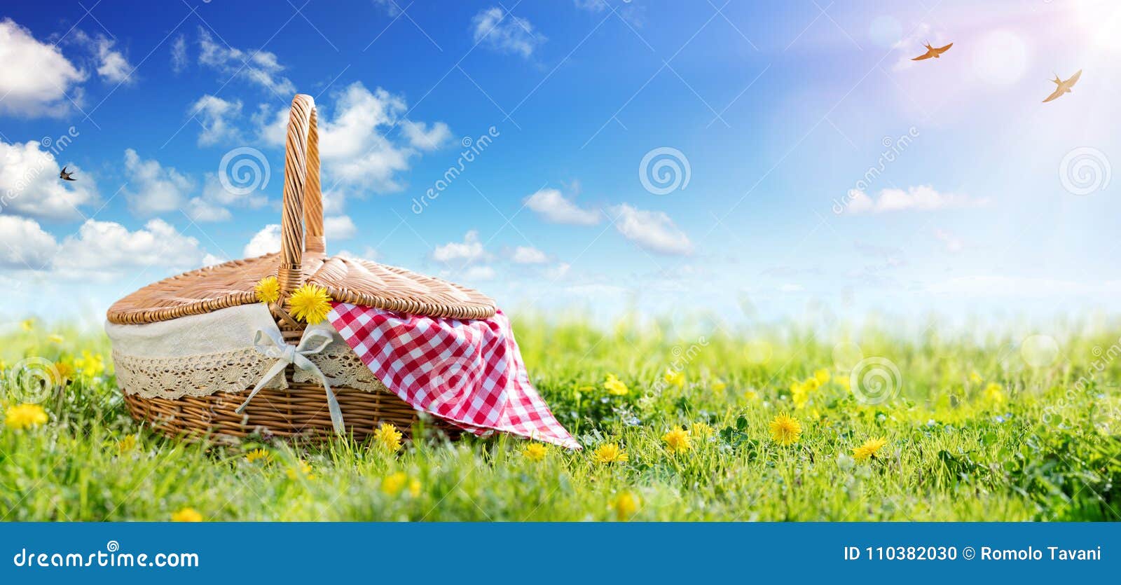 picnic - basket on meadow