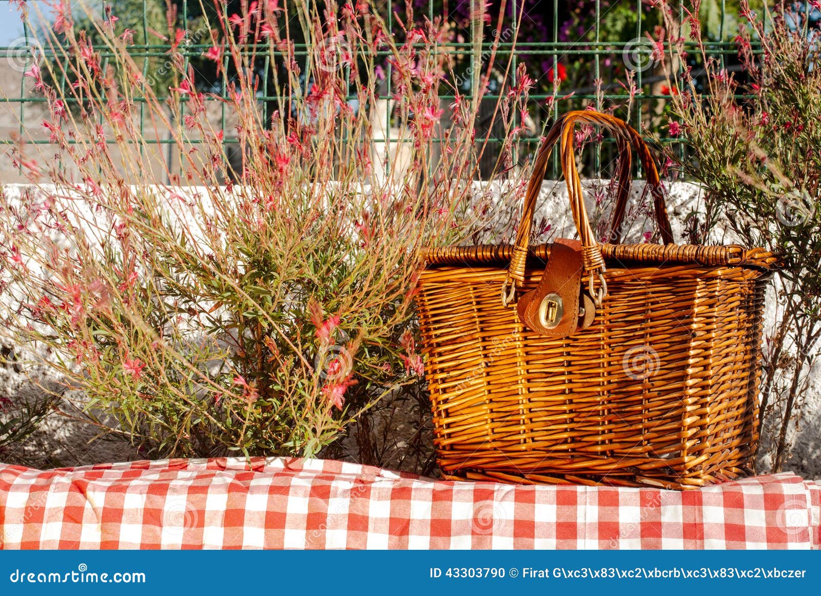 Picnic Basket on the Wall with Red Flowers Stock Photo Image of