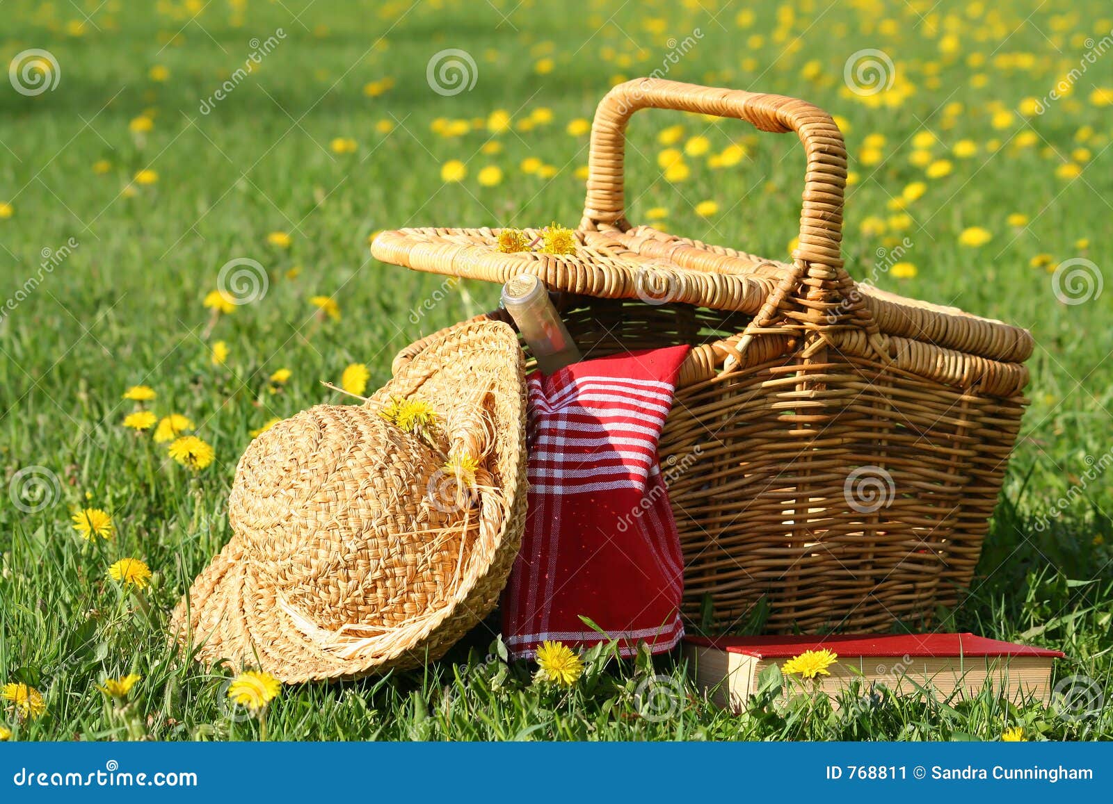 Picnic on the grass stock image. Image of summer, meadow 768811