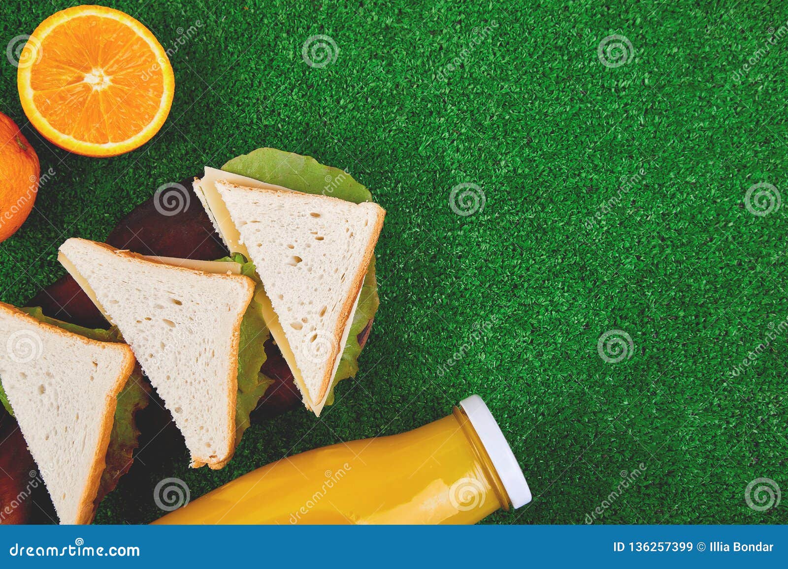 Picnic on the Grass. Healthy Food Sandwich and Fruit, Orange Juice