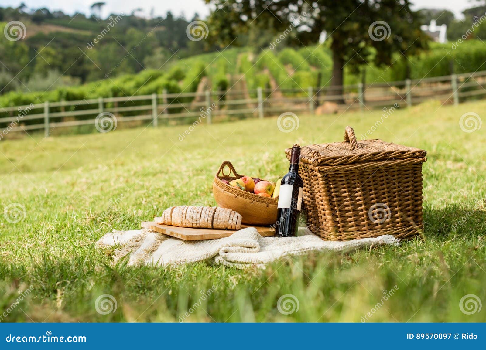 picnic at park