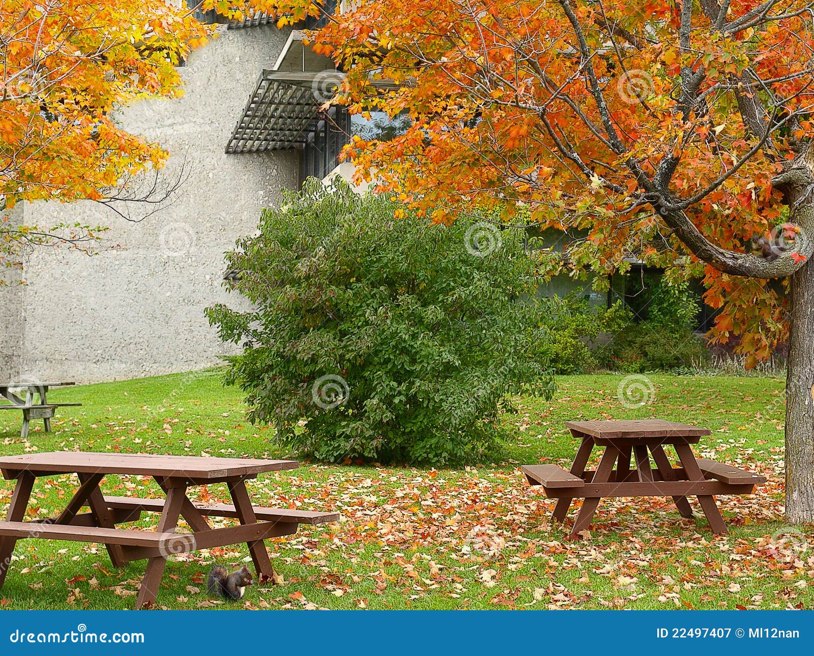 Picnic place stock image. Image of lawn, bench, luxury 22497407