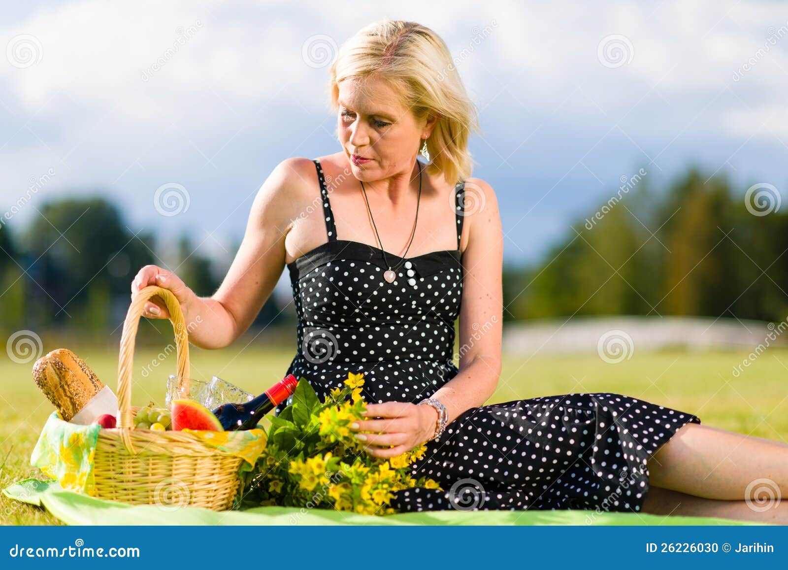 Picnic place stock photo. Image of lawn, beautiful, mature - 26226030