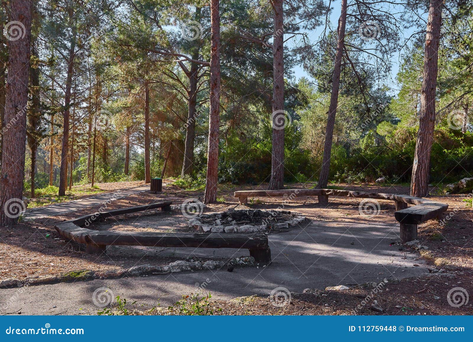 Picnic place in the forest stock photo. Image of grass - 112759448
