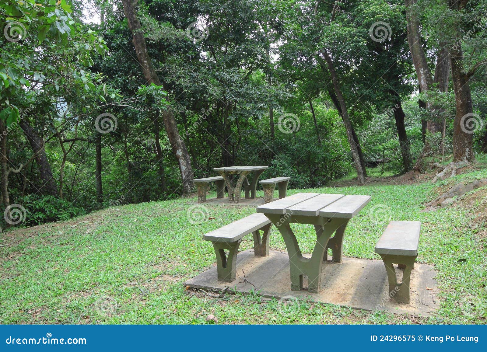 Picnic place in forest stock image. Image of field, hong - 24296575